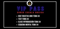 VIP PASS (4).png