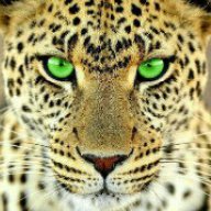 mrcaterin5