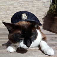 Borja González González