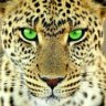mrcaterin5