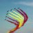 LINCE647