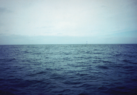mar2.jpg