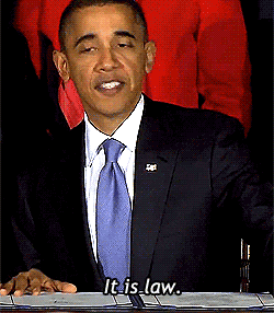 tumblr_lx7ylwsl621qbq8fx.gif