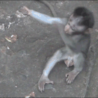 7vIq.gif