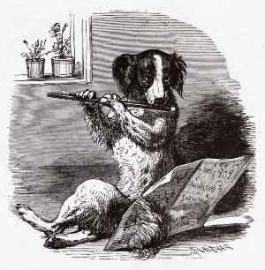 flute-dog.jpg