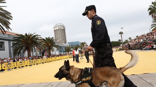 Un Día de Perros 3 de Las Palmas de Gran Canaria concluye con la participación de 4.000 canes en los dos días del evento
