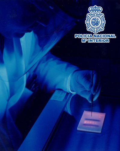 219 agresiones sexuales, 92 homicidios y 116 robos violentos han sido resueltos por la Policía Nacional gracias al análisis del ADN en 2013