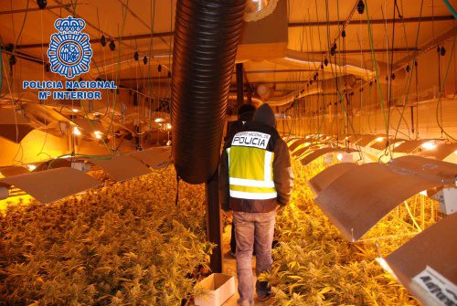 La Policía Nacional desmantela en Lleida una nave habilitada para la producción industrial de cannabis