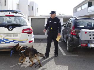 La Policía Local de Formentera estrena unidad canina con Neta