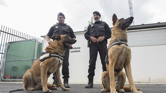 Dos de los mejores perros policías del país están en Granada