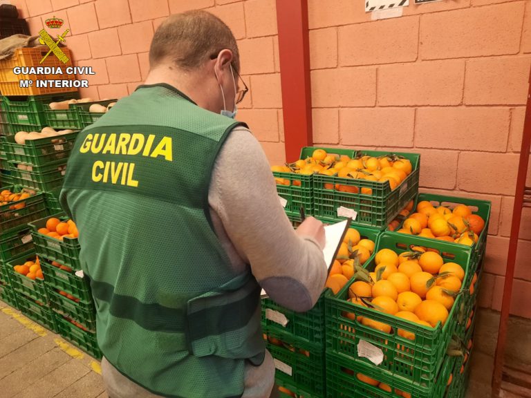 Intervenidas en Alicante 20 toneladas de naranjas contaminadas con un plaguicida prohibido